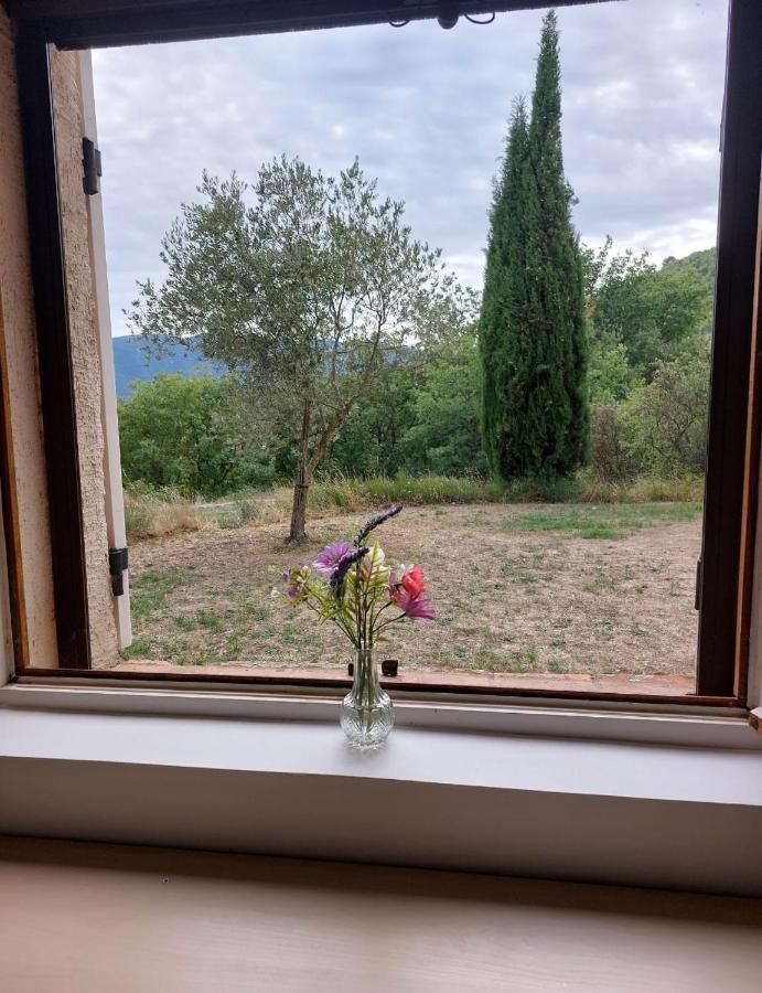 superbe logement au cœur Luberon proche du Colorado provencal dans une résidence au calme avec piscine, magnifique vu sur le Luberon depuis la terrasse Viens Exterior foto