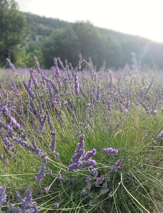 superbe logement au cœur Luberon proche du Colorado provencal dans une résidence au calme avec piscine, magnifique vu sur le Luberon depuis la terrasse Viens Exterior foto